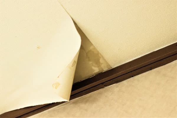 雨漏りの初期症状：クロスがはがれたりめくれたりしている